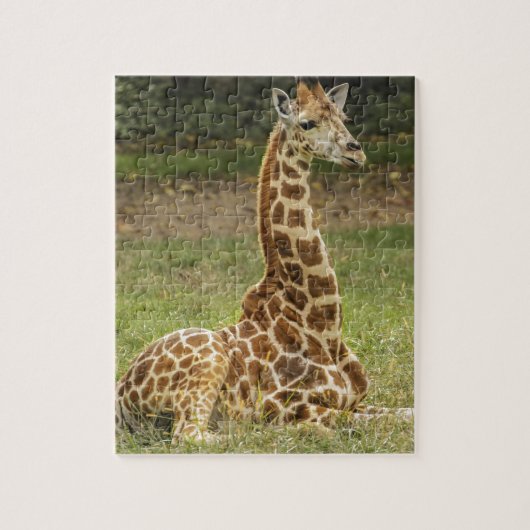 Giraffen-Foto Puzzle (Vertikal)