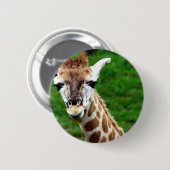 Giraffen-Foto-runder Knopf Button (Vorne & Hinten)