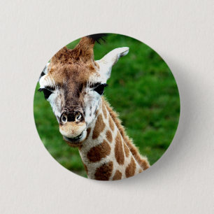 Giraffen-Foto-runder Knopf Button