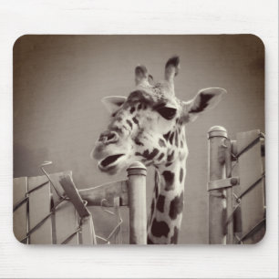 Giraffen-Fotografie - im Vintage-Stil Mousepad