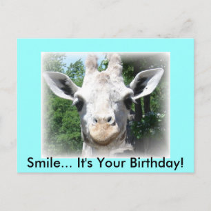 Giraffen-Geburtstagspostkarte Postkarte