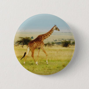 Giraffen-gehende Masai-Mara-Ebenen, Kenia-Knopf Button