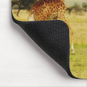Giraffen-gehendes Masai Mara Plains Kenia mousepad (Ecke)