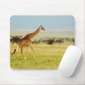 Giraffen-gehendes Masai Mara Plains Kenia mousepad (Mit Mouse)