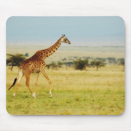Giraffen-gehendes Masai Mara Plains Kenia mousepad (Vorne)