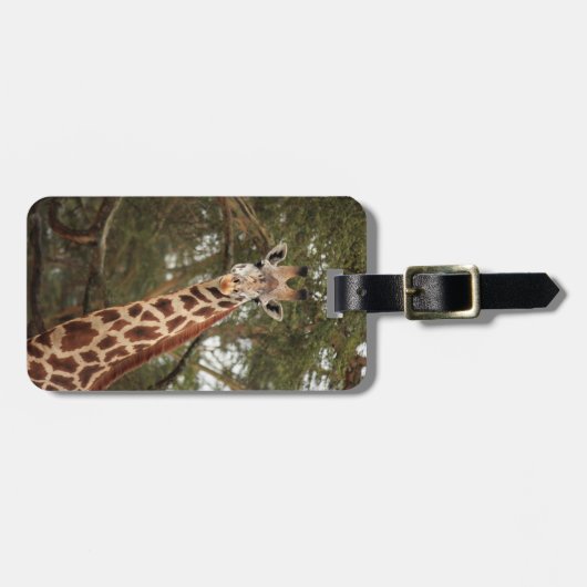 Giraffen-Gepäckanhänger Gepäckanhänger (Vorderseite horizontal)