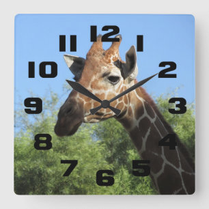 Giraffen-Hauptuhr Quadratische Wanduhr