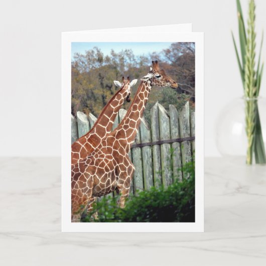 Giraffen im Park Karte (Vorderseite)