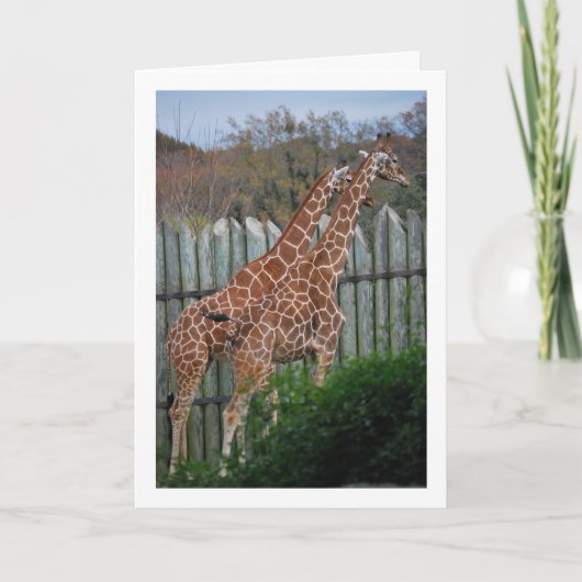 Giraffen im Park Karte (Vorderseite)