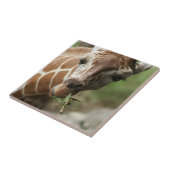 Giraffen-Imbiss-Fliese Fliese (Seite)