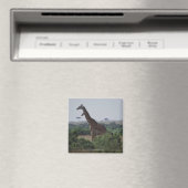 Giraffen in Afrika Magnet (In Situ (Geschirrspüler))