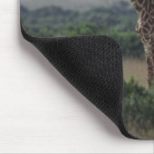 Giraffen in Afrika Mousepad (Ecke)
