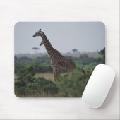 Giraffen in Afrika Mousepad (Mit Mouse)