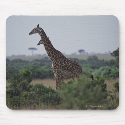 Giraffen in Afrika Mousepad (Vorne)