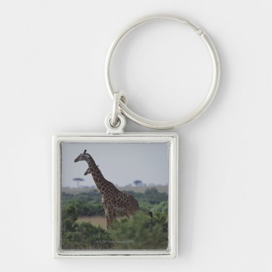 Giraffen in Afrika Schlüsselanhänger (Vorne)