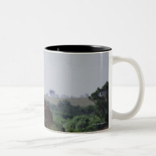 Giraffen in Afrika Zweifarbige Tasse