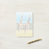 Giraffen in der Savanne, Uganda Post-it Klebezettel (Auf Schreibtisch)