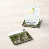 Giraffen in Kenia, Afrika 2 Untersetzer (Rechte Seite)