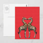 Giraffen in Liebe Postkarte (Vorne/Hinten)
