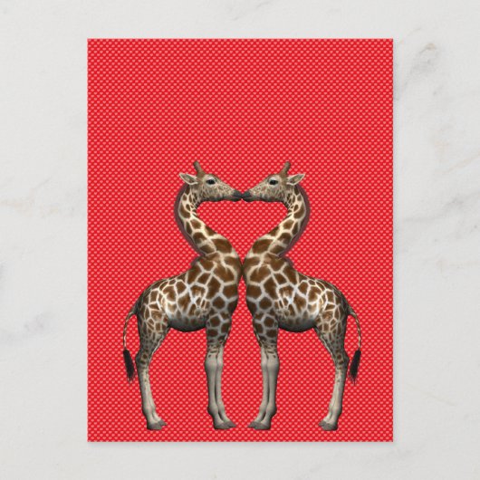 Giraffen in Liebe Postkarte (Vorderseite)