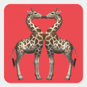 Giraffen in Liebe Quadratischer Aufkleber