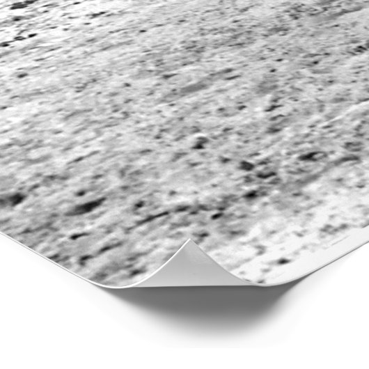 Giraffen in Schwarz und Weiß Poster (Ecke)