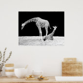 Giraffen in Schwarz und Weiß Poster (Küche)