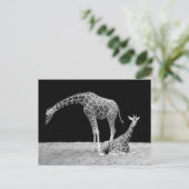 Giraffen in Schwarz und Weiß Postkarte (Stehend Vorderseite)
