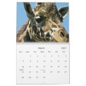 Giraffen Kalender (Mär 2027)