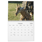 Giraffen Kalender (Feb 2026)