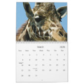 Giraffen Kalender (Mär 2026)