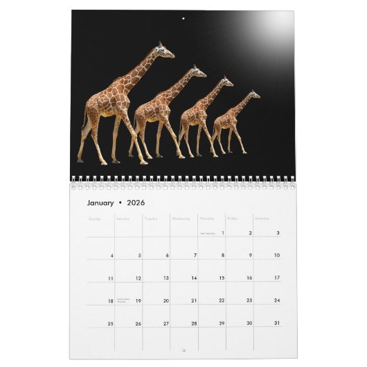GIRAFFEN-KALENDER KALENDER (Jan 2026)