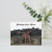Giraffen Kreuzgrüße Postkarte (Stehend Vorderseite)