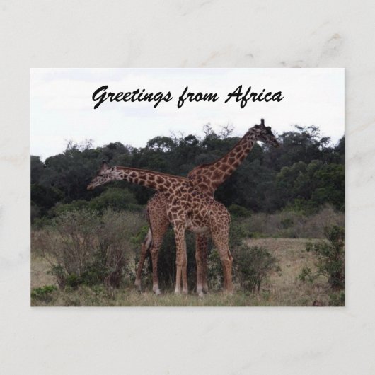 Giraffen Kreuzgrüße Postkarte (Vorderseite)