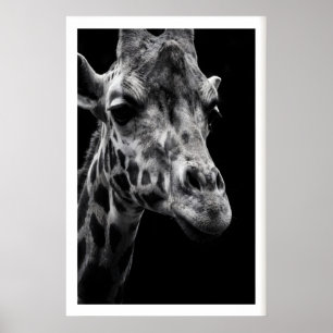 Giraffen-Kunstprint Crisp Monochrome Fotografie Poster