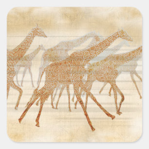Giraffen laufen quadratischer aufkleber