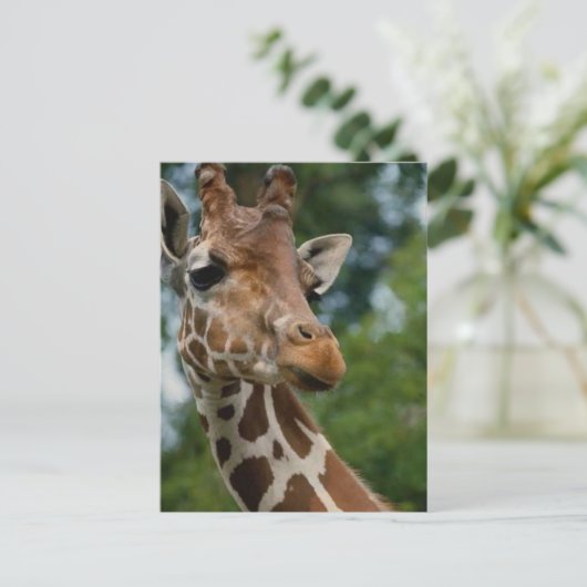 Giraffen-Liebhaber-Kunst-Geschenke Postkarte (Stehend Vorderseite)