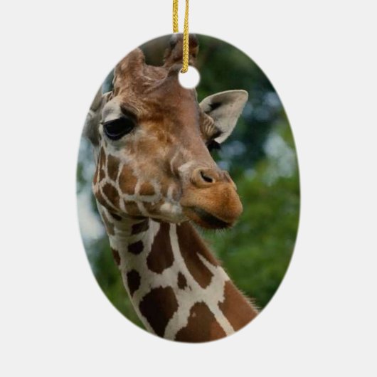 Giraffen-Liebhaber-Weihnachtsverzierung Keramikornament (Hinten)