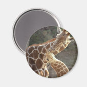 Giraffen Magnet (Vorderseite/Rückseite)