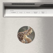 Giraffen Magnet (In Situ (Geschirrspüler))