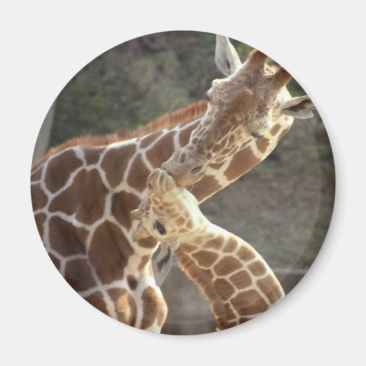 Giraffen Magnet (Vorne)