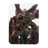 Giraffen Magnet (Vertikal)