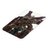 Giraffen Magnet (Linke Seite)
