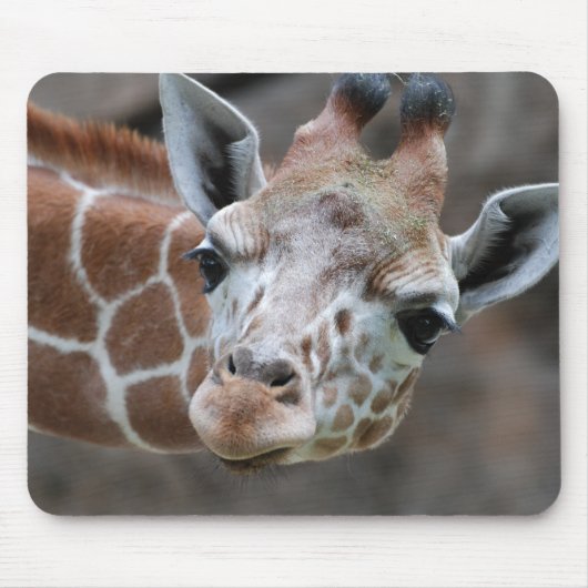 Giraffen-Mausunterlage Mousepad (Vorne)
