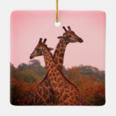 Giraffen mit rosa Himmel Keramikornament (Rückseite)