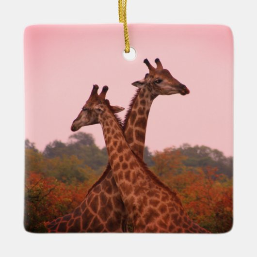 Giraffen mit rosa Himmel Keramikornament (Vorderseite)