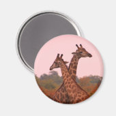 Giraffen mit rosa Himmel Magnet (Vorderseite/Rückseite)