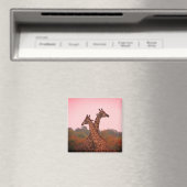 Giraffen mit rosa Himmel Magnet (In Situ (Geschirrspüler))