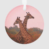 Giraffen mit rosa Himmel Ornament (Rückseite)