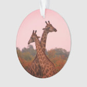 Giraffen mit rosa Himmel Ornament (Vorderseite)